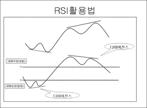 RSI 그림