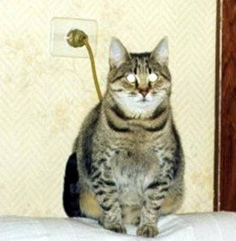 mdtoday_co_kr_20120227_110543.jpg?type=w2