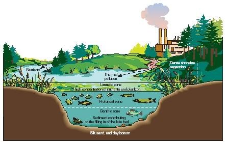 the steps involved in wastewater treatment environmental sciences essay Free environmental studies essays according to the multiple-effect evaporation waste water treatment system, by means of arrangement of the multiple effects or stages, are now used to minimize the energy input required to evaporate or. the steps involved in wastewater treatment environmental sciences essay Free environmental studies essays according to the multiple-effect evaporation waste water treatment system, by means of arrangement of the multiple effects or stages, are now used to minimize the energy input required to evaporate or.