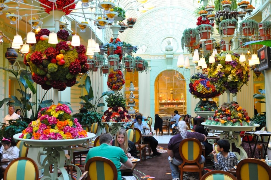 Freeport Bahamas Night Time Freeport Bahamas Bahamas Island Hopping