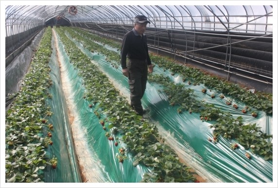 %BB%E7%C1%F8_257.jpg?type=w1