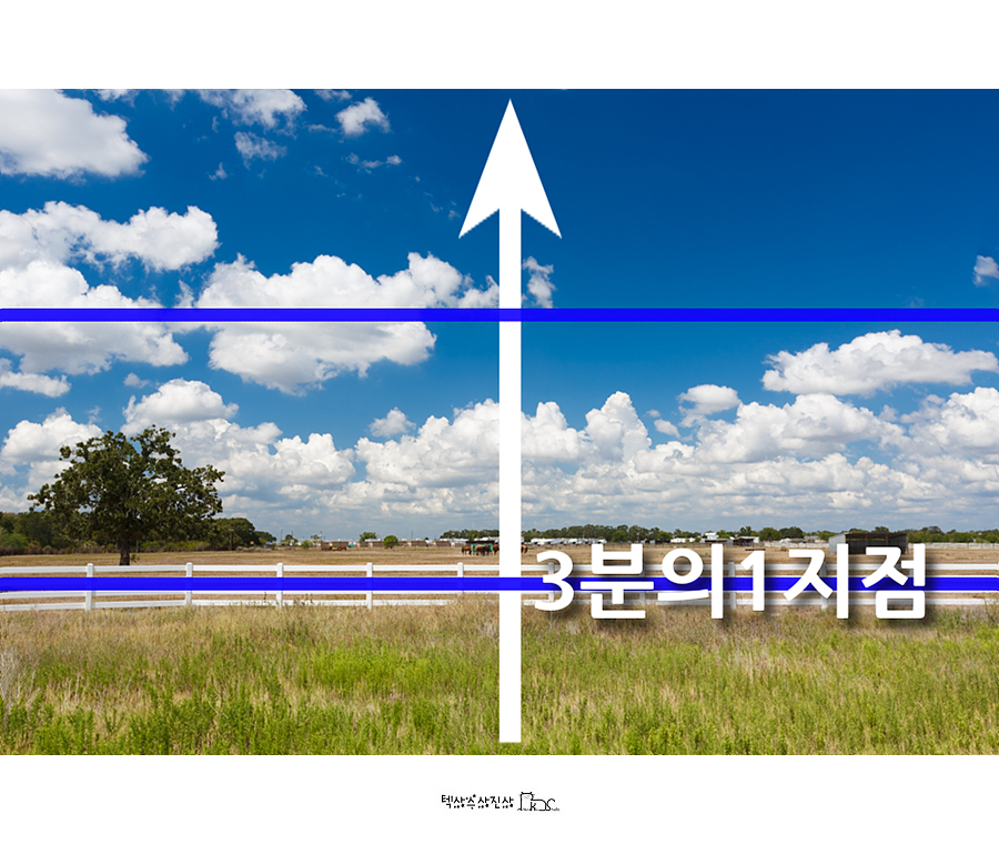 온초점 이미지
