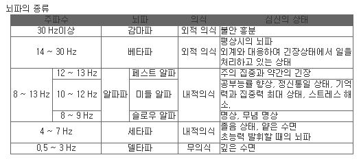 뇌파의 종류