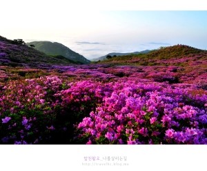 오도산황토펜션 이미지