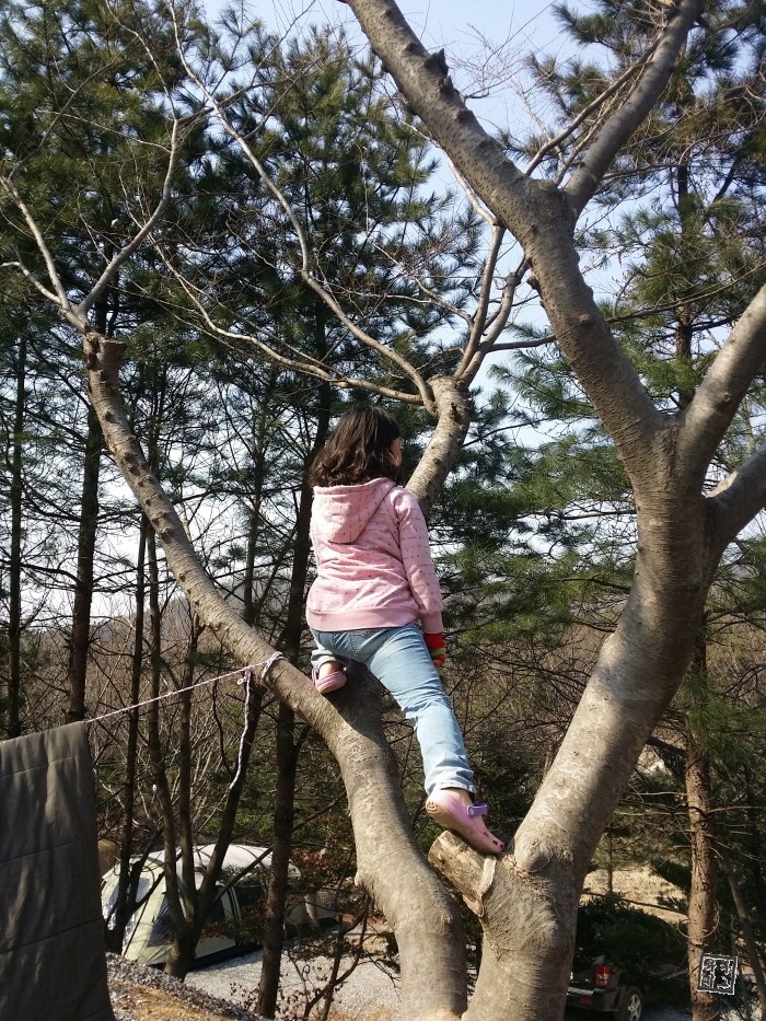 우리두리 캠핑장 이미지