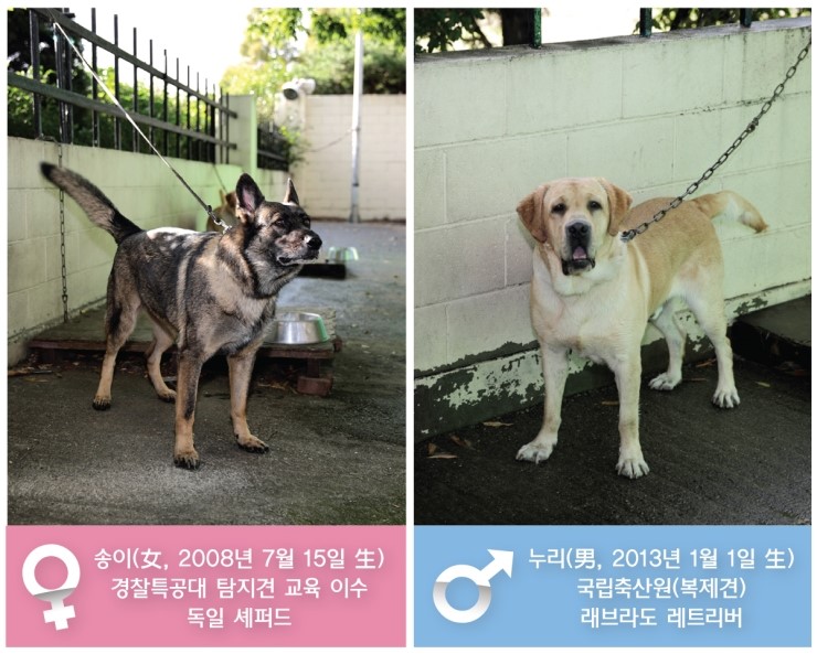 인 이미지