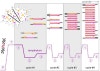 touchdown pcr steps touchdown pcr steps