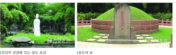 동심초 이미지