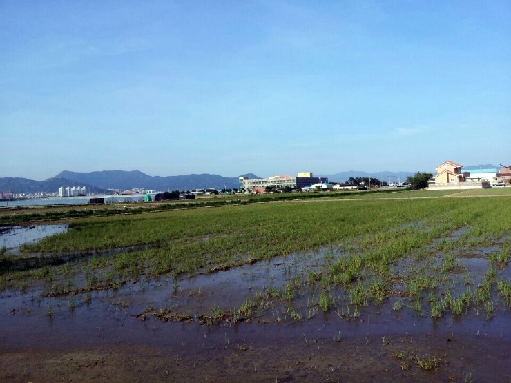 경남 김해 낚시할만한 곳 - 해반천/신천저수지 : 네이버 블로그