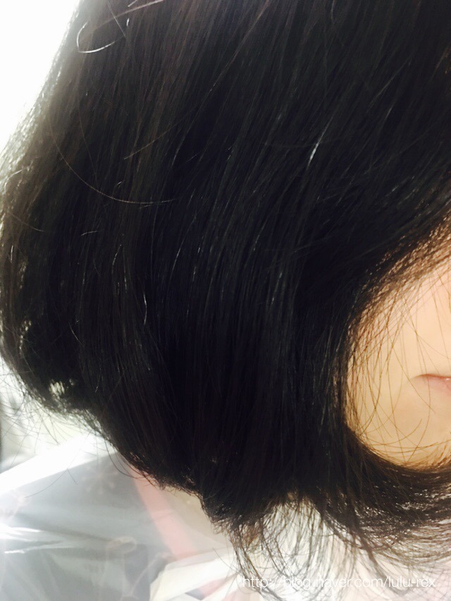 정전기방지 스폰지