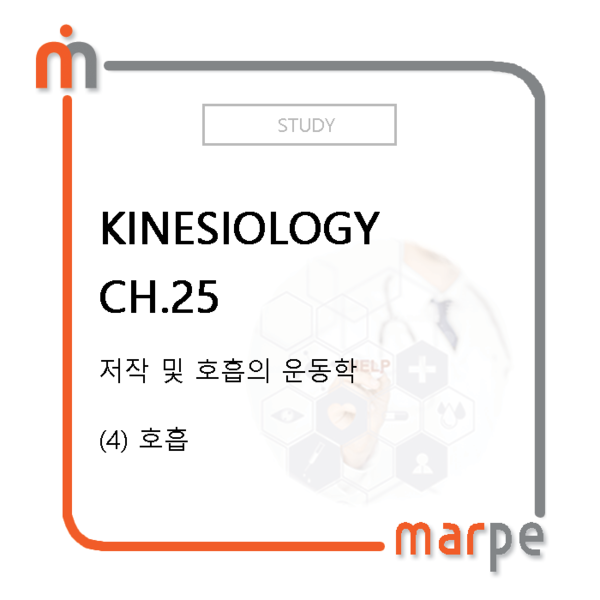 ch 4 into kinesiology Chapter 1: what is biomechanics basic biomechanics, 4th edition kinesiology • study of human movement • 4) draw a diagram of the problem situation . ch 4 into kinesiology Chapter 1: what is biomechanics basic biomechanics, 4th edition kinesiology • study of human movement • 4) draw a diagram of the problem situation .