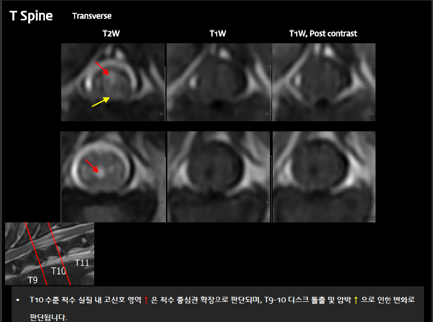 두암한방병원 이미지
