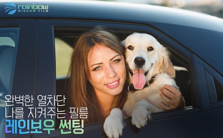 규니썬팅 이미지